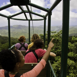 Rainforest Ariel Tram, Zip Lines