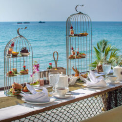 Bird's Nest Food - High Season Pool Villa & Spa Resort, Koh Kood, Thailand