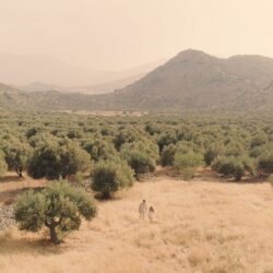 Return To Nature - Daios Cove, Crete
