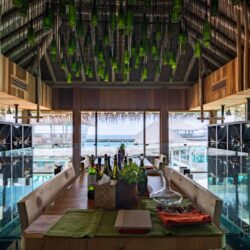 Altitude Cellar - Six Senses Laamu, Maldives
