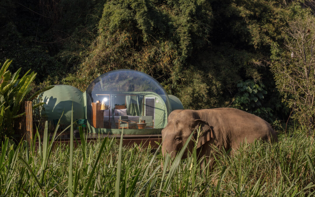 Anantara Golden Triangle Resort, Chiang Rai