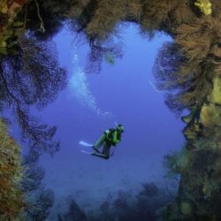 Deep Sea Diving - Windjammer Landing Resort, St Lucia