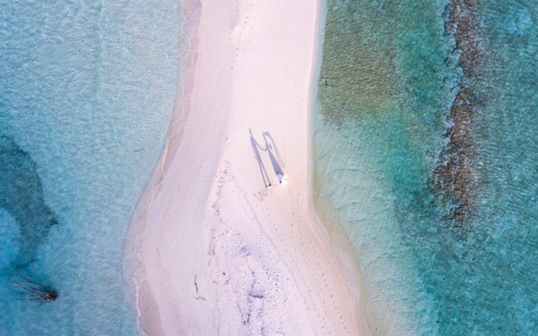 Arabia and Indian Ocean